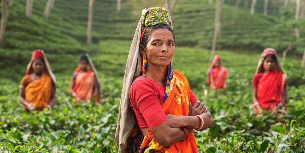 Women Empowerment and Employment Women Empowerment and Employment